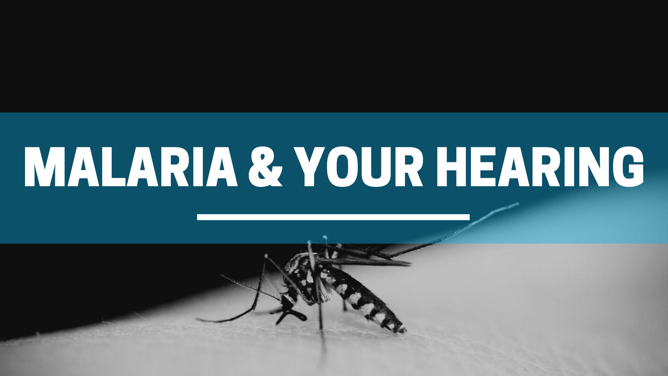 MALARIA-AND-MY-HEARING-.png